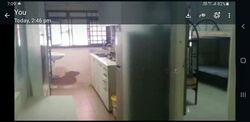 Blk 111 Tiong Bahru Orchid (Bukit Merah), HDB 3 Rooms #619586281